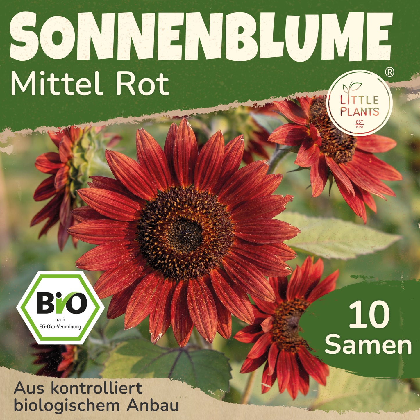Bio-Sonnenblume (Mittelgroß, rot)
