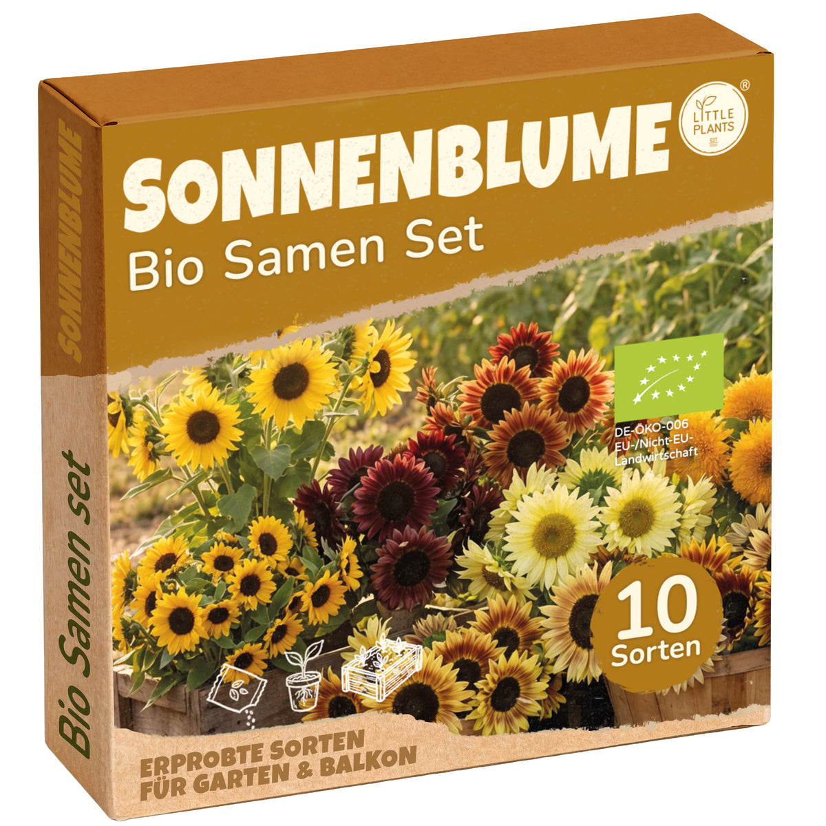 Bio Sonnenblumensamen Set mit 10 Sorten
