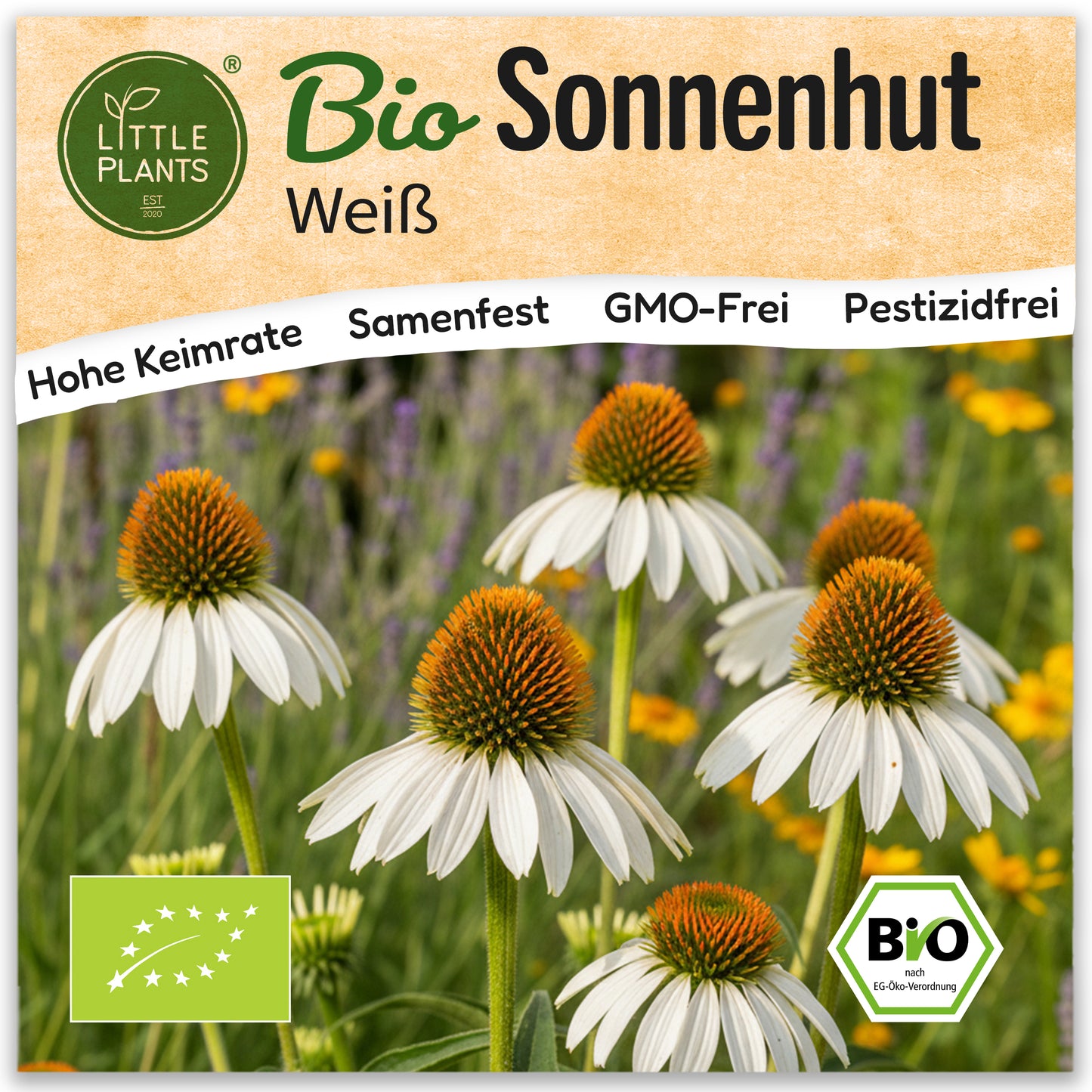 Bio-Sonnenhut (Weiß)