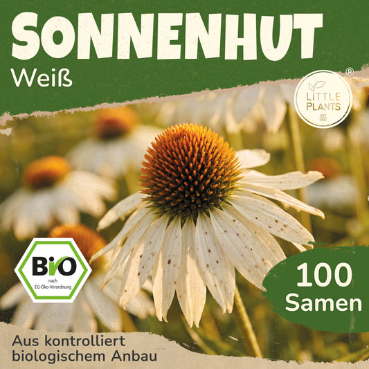 Bio-Sonnenhut (Weiß)