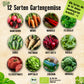 Bio-Gemüsesamen Set mit 12 Sorten