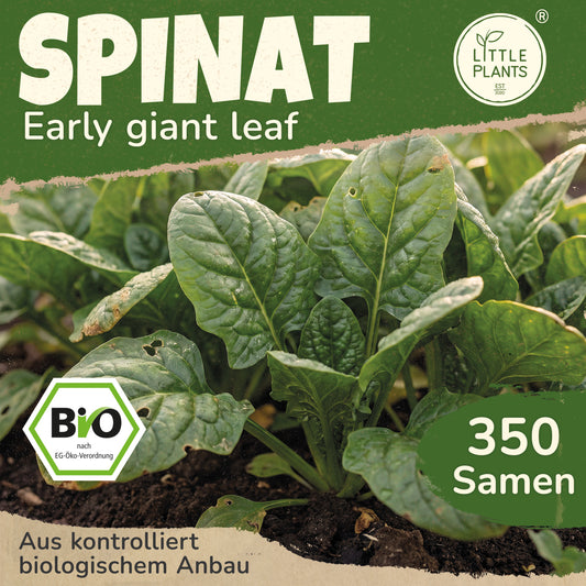 Bio-Spinat (Early Giant Leaf)
