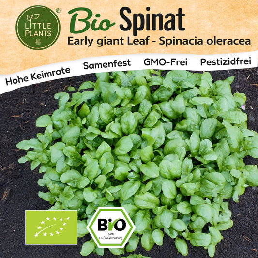 Bio-Spinat (Early Giant Leaf)