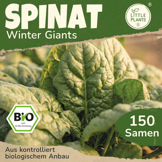 Bio-Spinat (Winter Giants)
