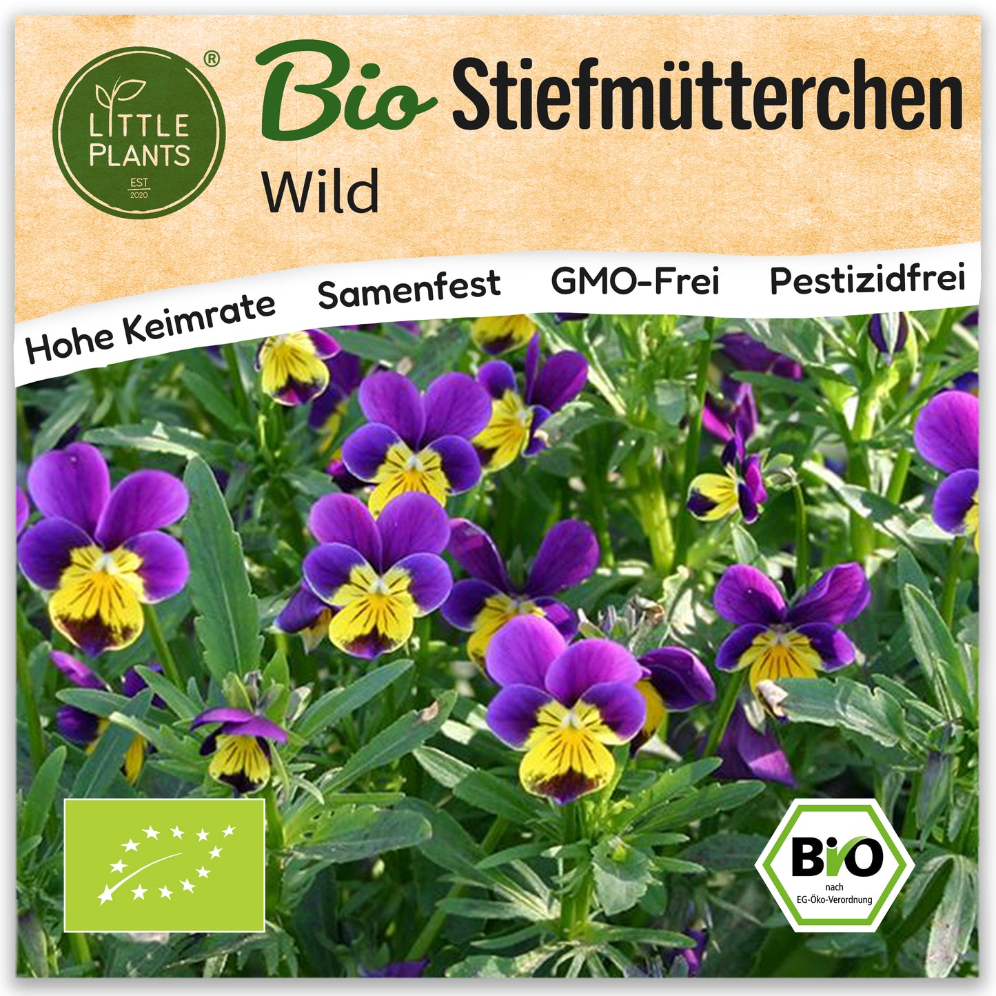Bio-Stiefmütterchen (Wild)