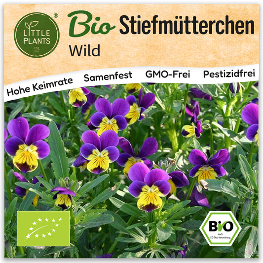 Bio-Stiefmütterchen (Wild)