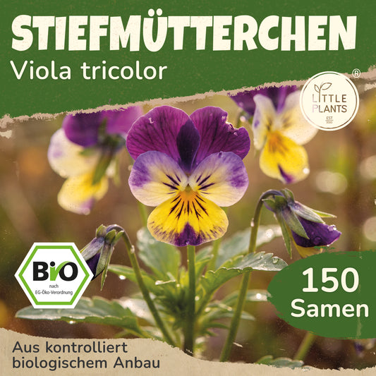 Bio-Stiefmütterchen (Wild)
