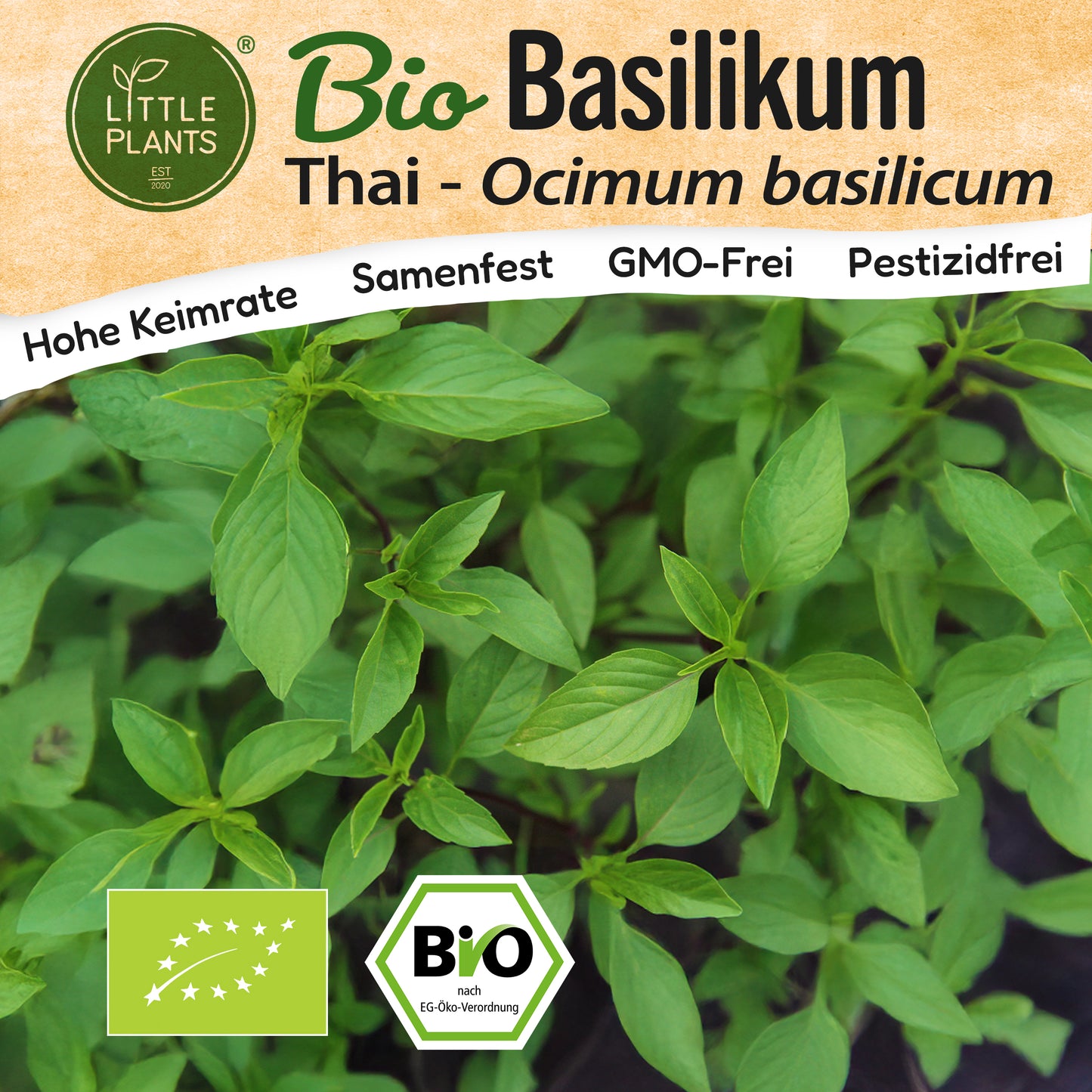 Bio-Basilikum (Thai)