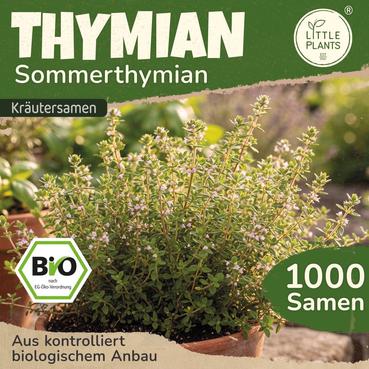 Bio-Thymian (Sommerthymian)