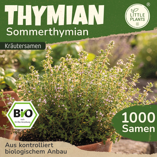 Bio-Thymian (Sommerthymian)