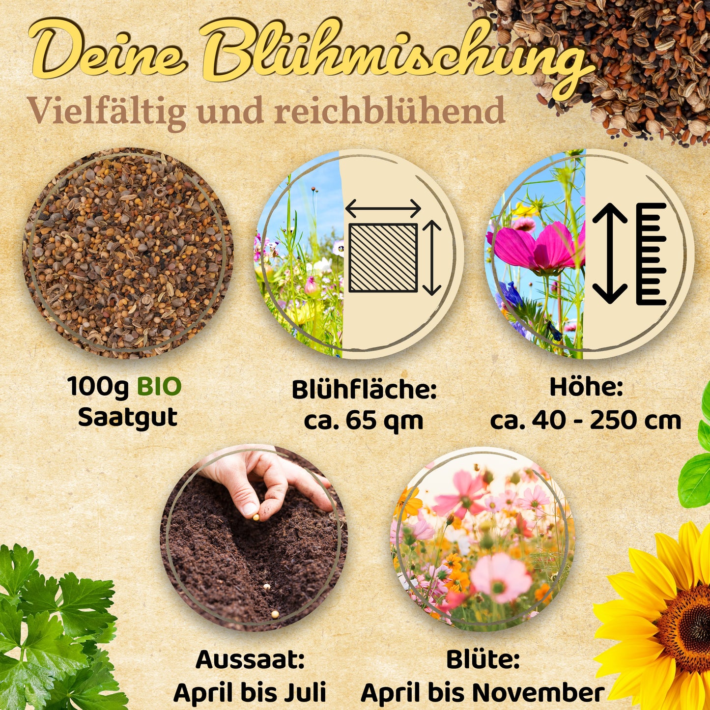 Little Plants Bio Bienenweide mit 32 Sorten 100g