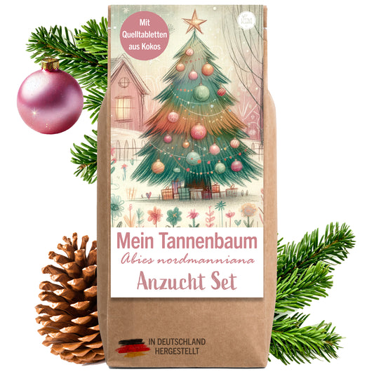 Weihnachtsbaum Anzuchtset - Weihnachtsbaum 2030