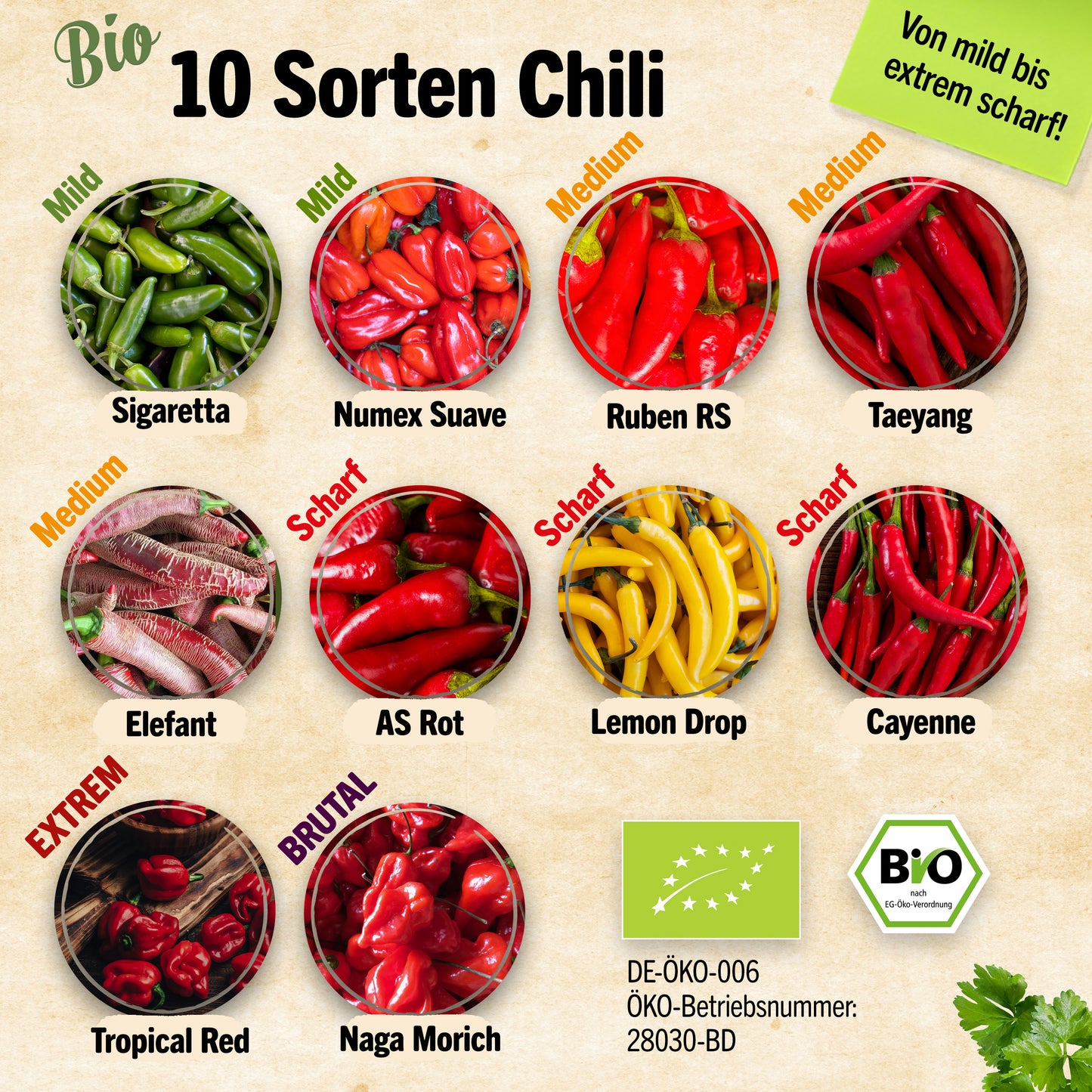 Bio-Chili Samen Set mit 10 Sorten