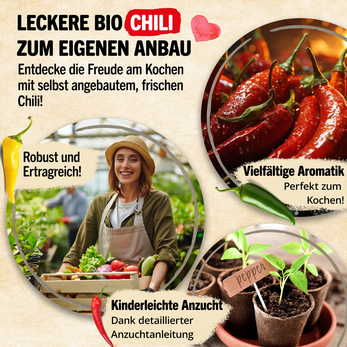 Bio-Chili Samen Set mit 10 Sorten