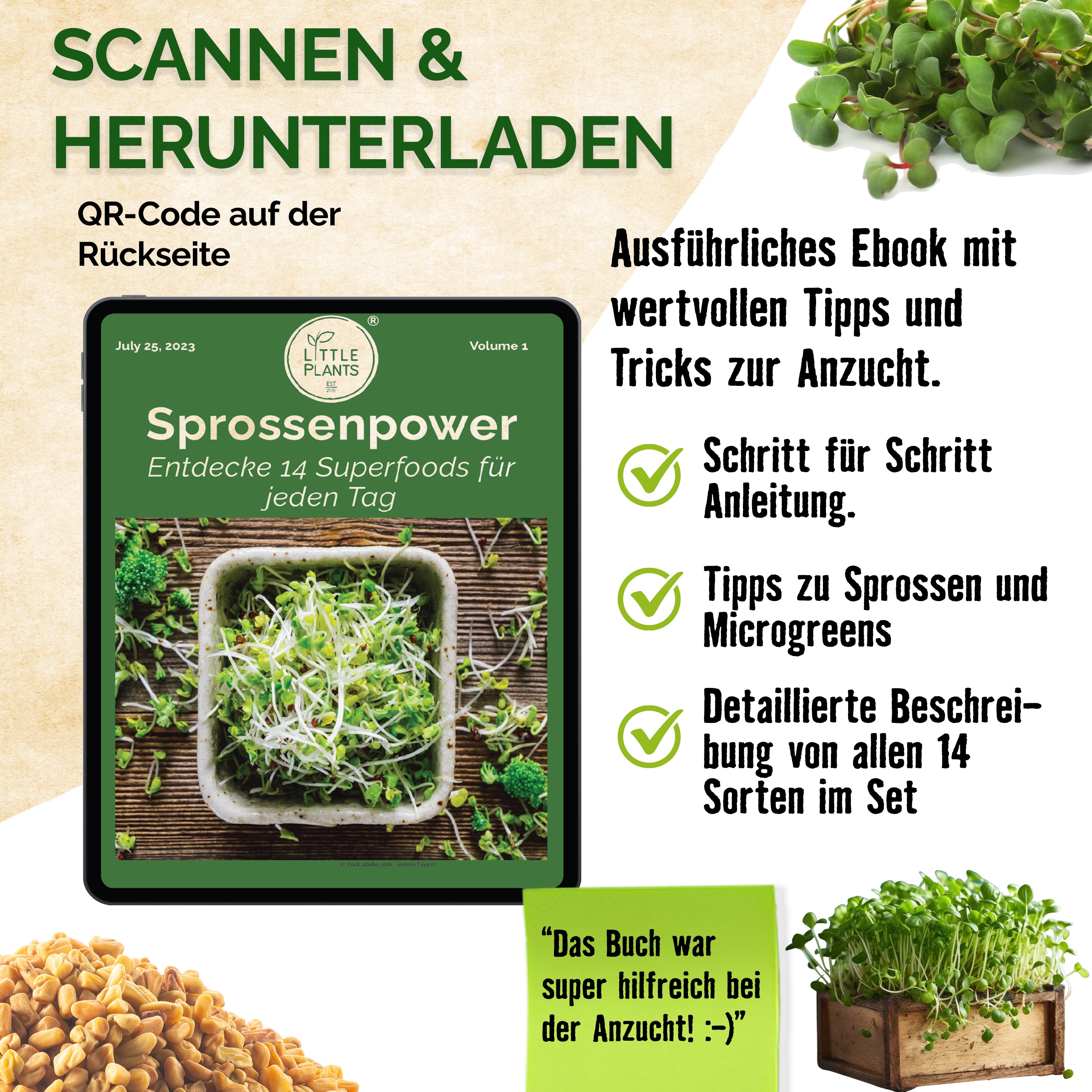 SaatPur BIO Basilikum Rot Keimsaat – 10g, Für Sprossen & Microgreens, Aus Deutschland