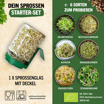 Keimglas Set mit 6 Sorten Bio Sprossen in 6 verschiedenen Farben