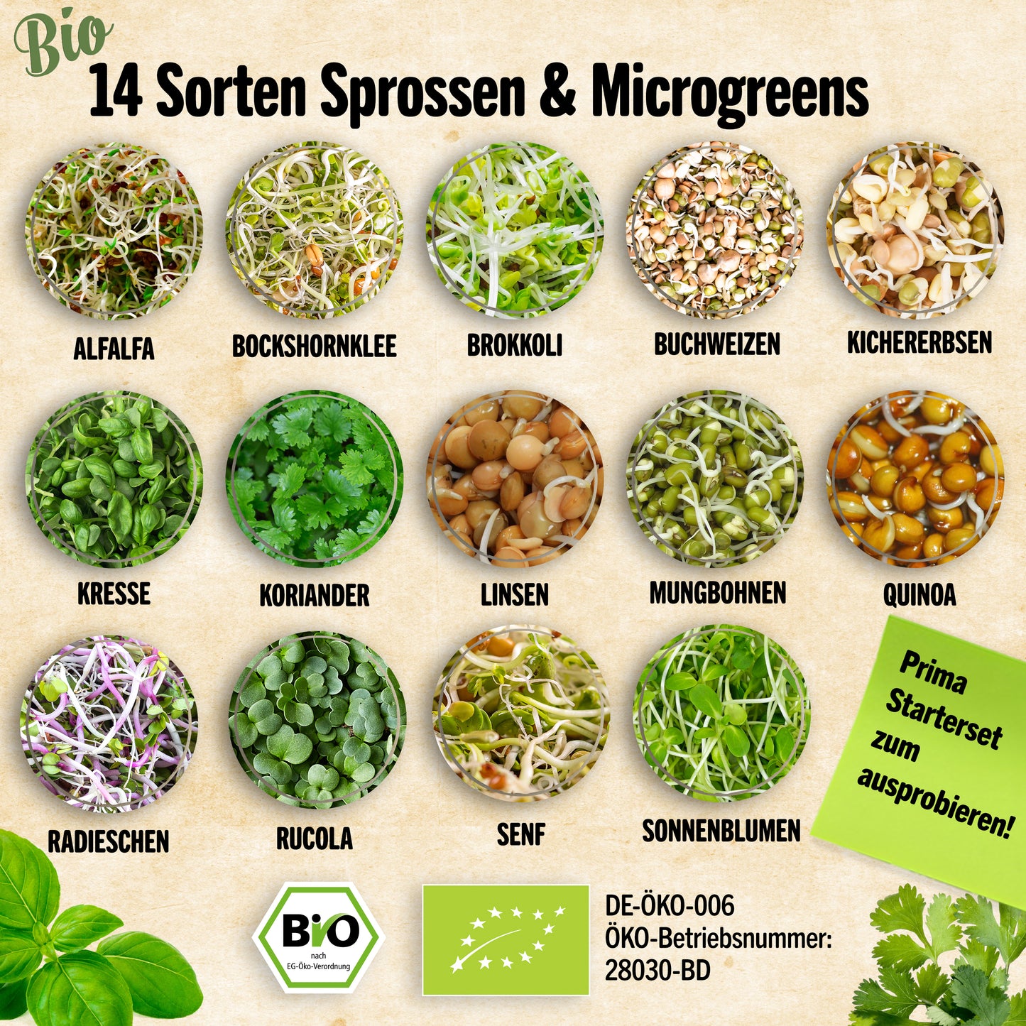 Bio Sprossen und Microgreen Probierset mit 14 Sorten