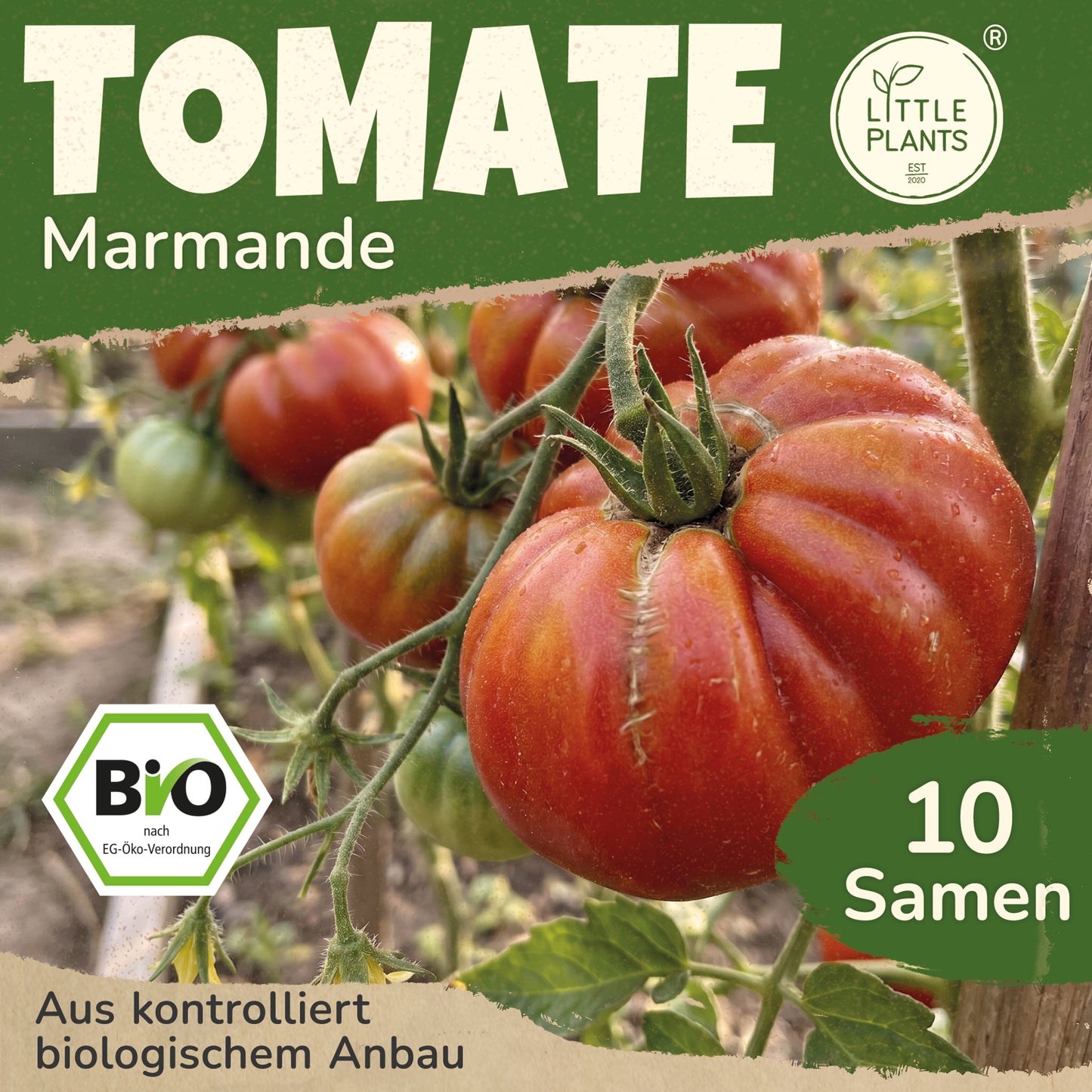 Bio-Tomate (Marmande)