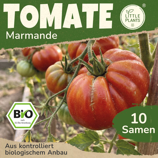 Bio-Tomate (Marmande)