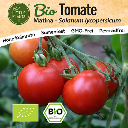 Bio-Tomate (Matina)