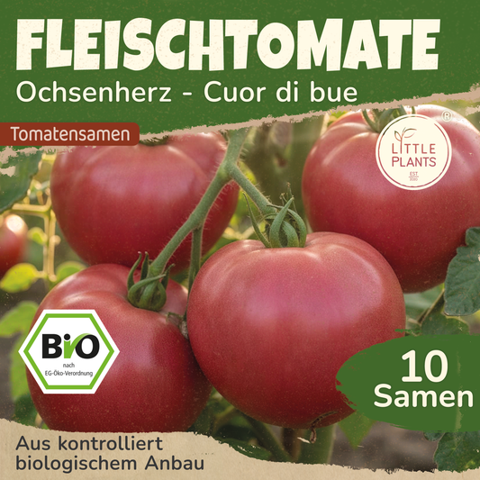Bio-Tomate (Ochsenherz)