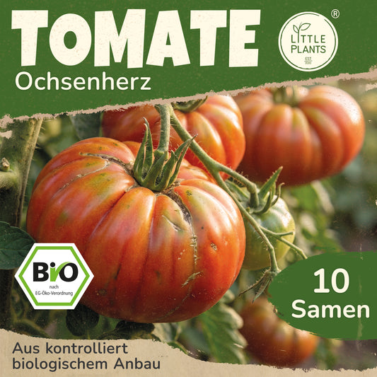 Bio-Tomate (Ochsenherz)