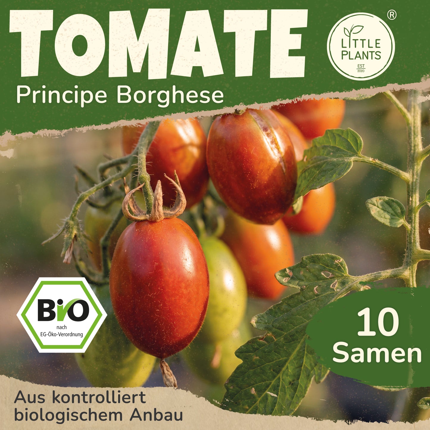 Bio-Tomate (Principe Borghese)