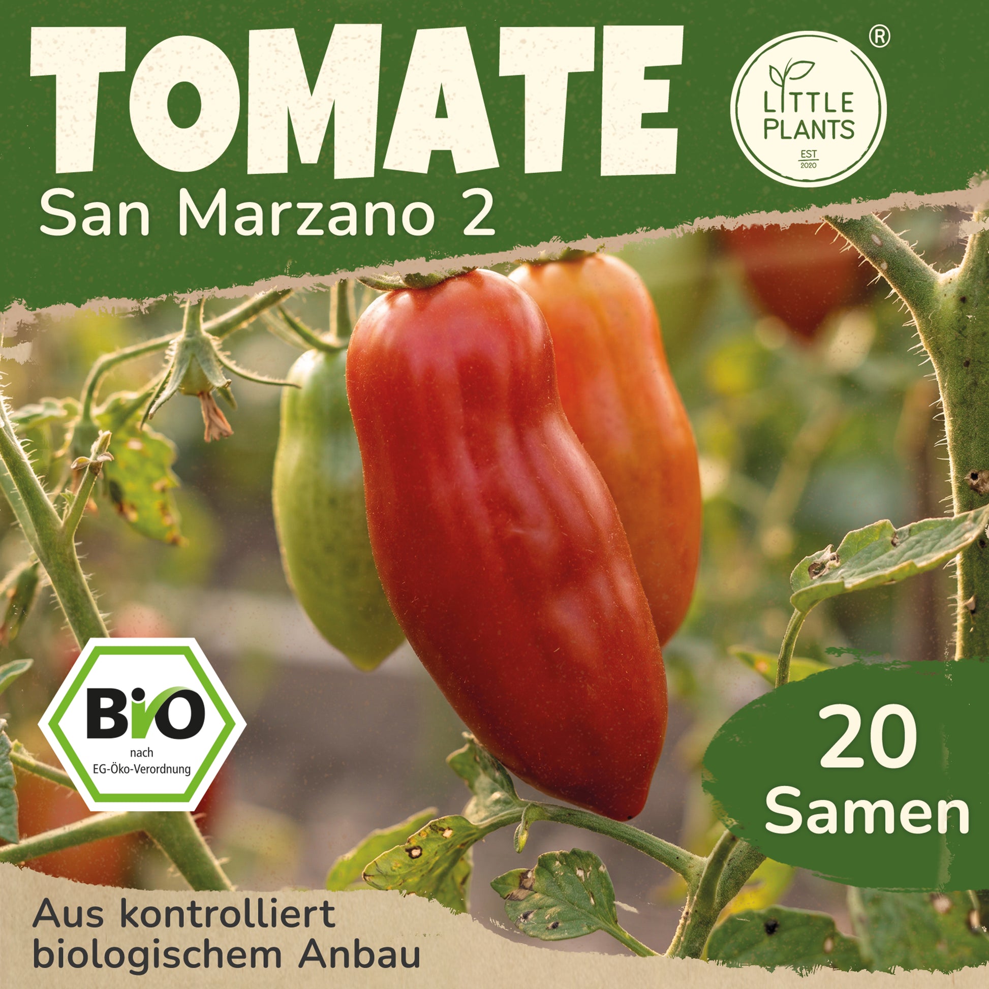 san marzano bio saatgut Bio-Tomate (San Marzano 2) – Little Plants