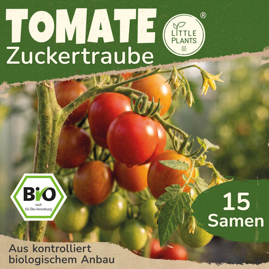 Bio-Tomate (Zuckertraube)