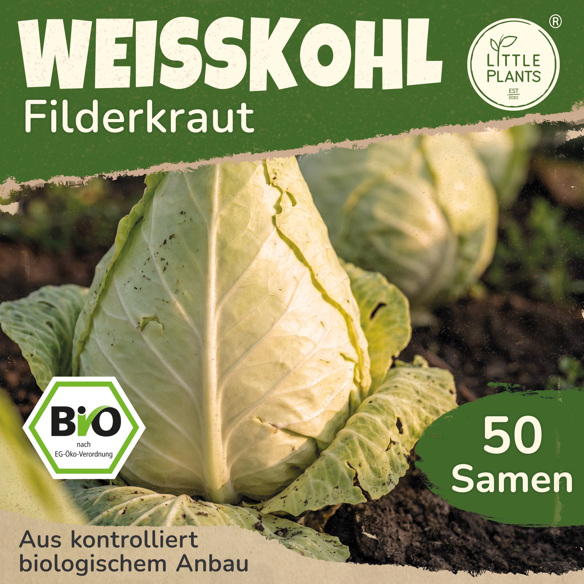 Bio-Weißkohl (Fliderkraut) – Little Plants