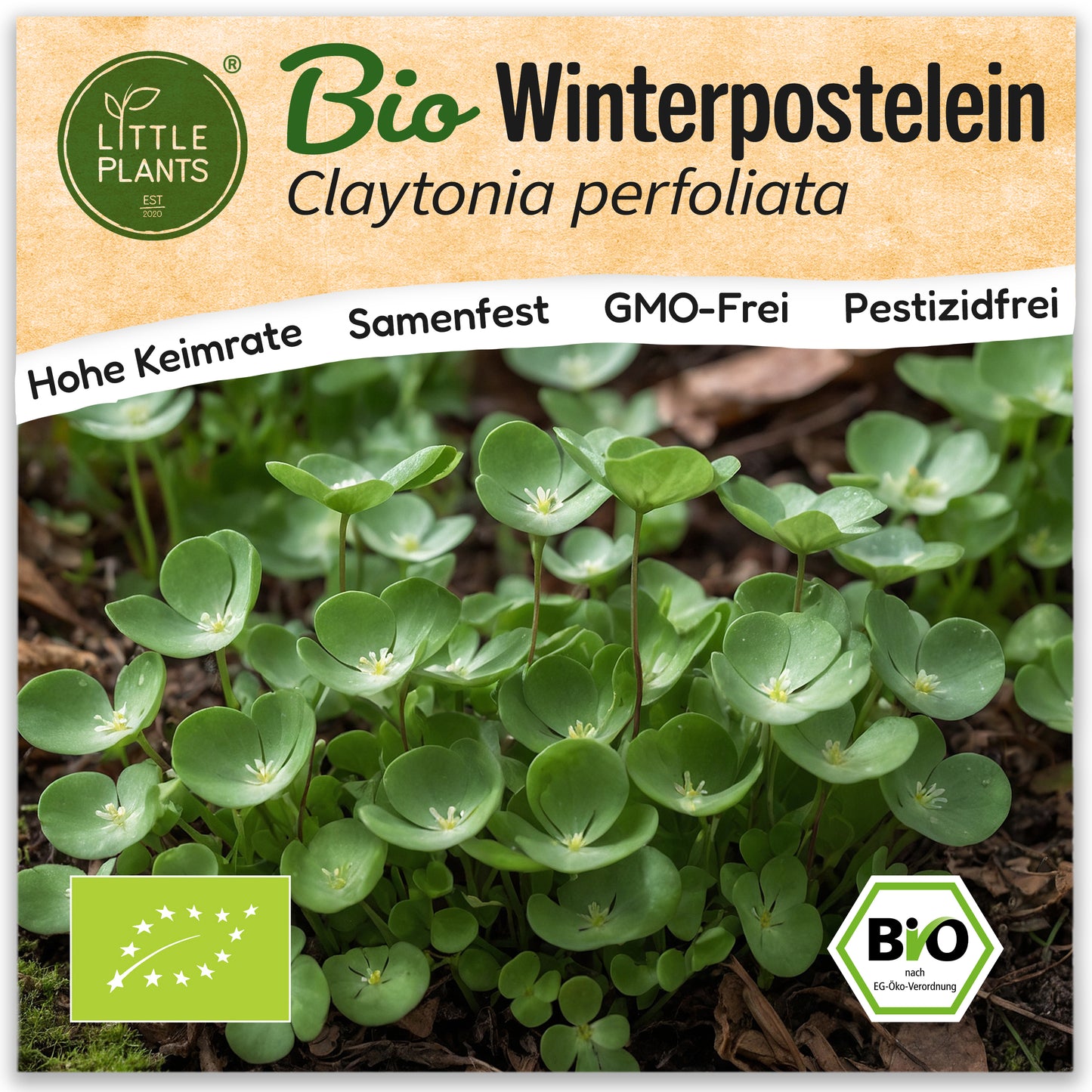 Bio-Winterpostelein