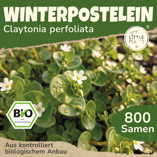 Bio-Winterpostelein