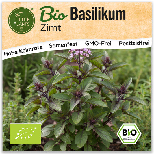 Bio Basilikum (Zimt)