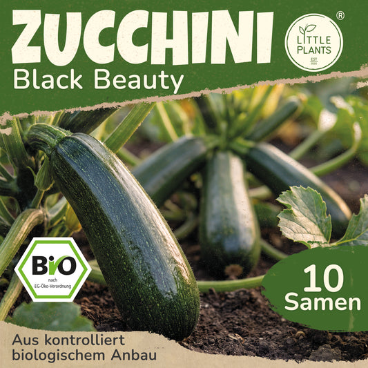 Bio-Zucchini (Black Beauty)