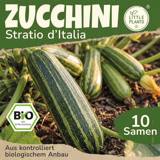 Bio-Zucchini (Striato d'Italia)