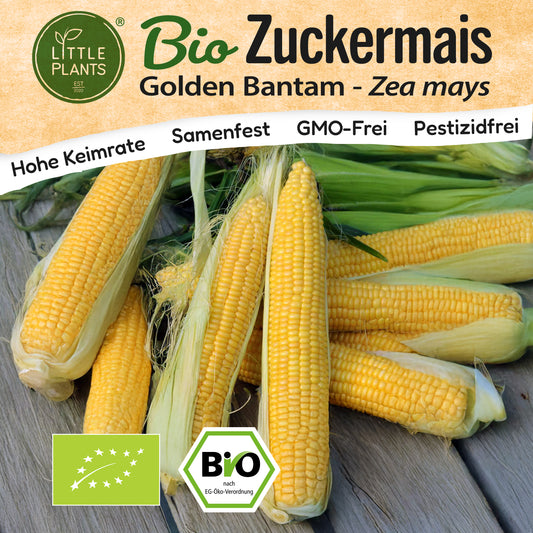 Bio-Zuckermais (Golden Bantam)