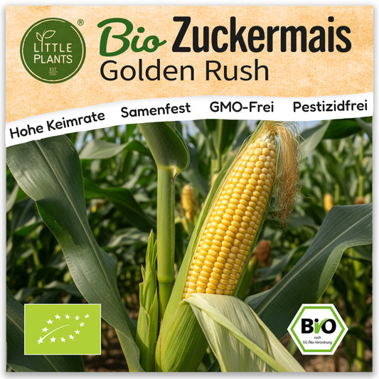 Bio-Zuckermais (Golden Rush)