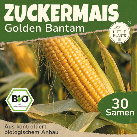 Bio-Zuckermais (Golden Bantam)