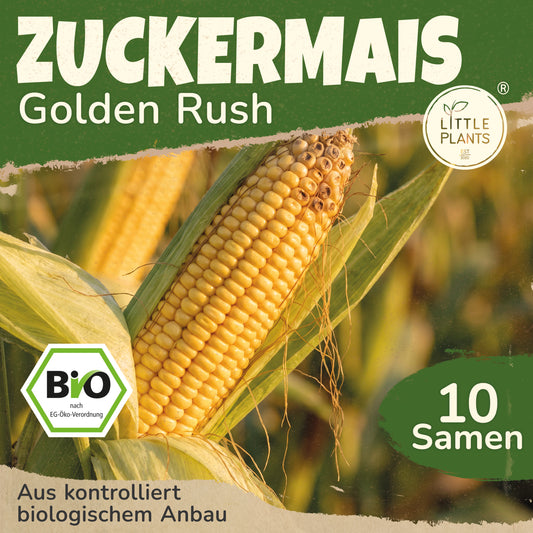Bio-Zuckermais (Golden Rush)