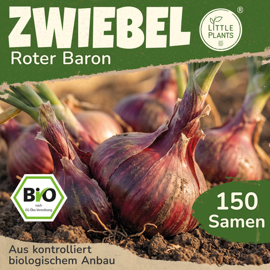 Bio-Zwiebel (Roter Baron)