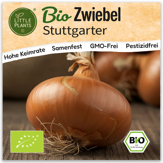 Bio-Zwiebel (Stuttgarter)