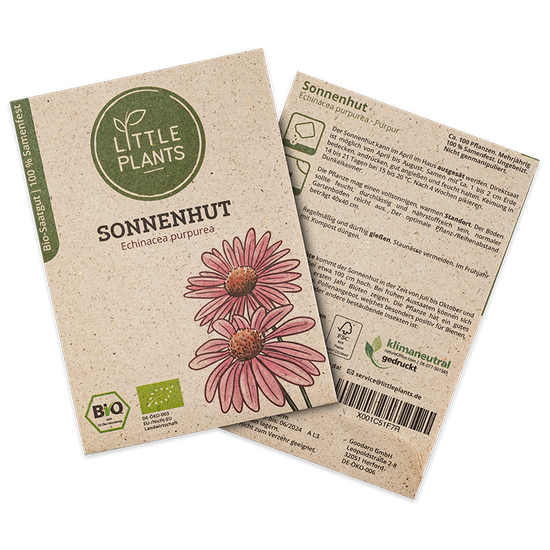 Bio-Sonnenhut (Echinacea purpurea) Purpur | 100 Pflanzen