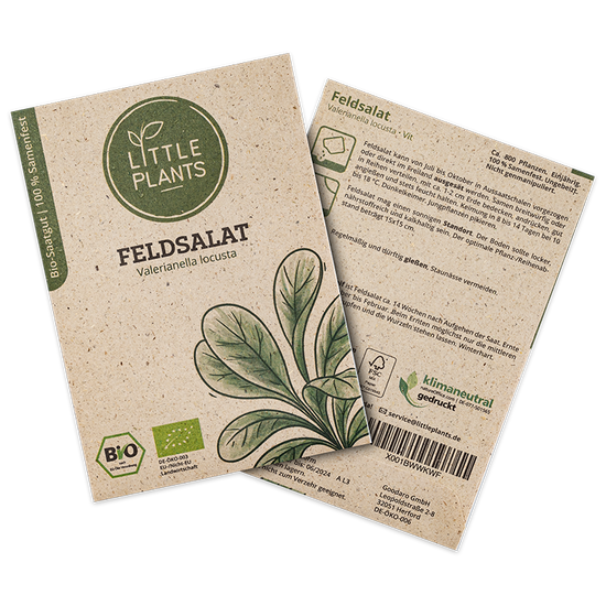 Bio-Feldsalat (Valerianella locusta) Vit | 800 Pflanzen