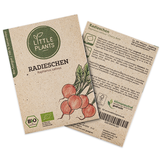 Bio-Radieschen (Raphanus sativus) Cherry Belle | 250 Pflanzen
