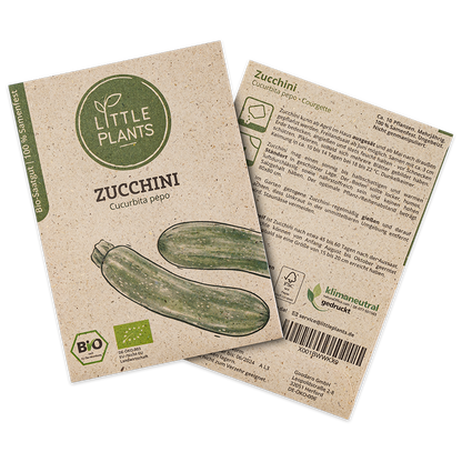 Bio-Zucchini (Courgette)