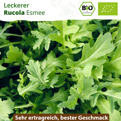 Bio-Rucola (Esmee)