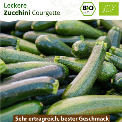 Bio-Zucchini (Courgette)