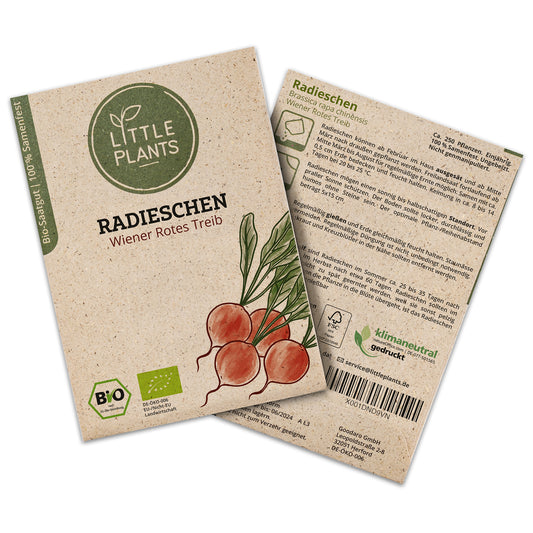 Bio-Radieschen (Wiener Rotes Treib)