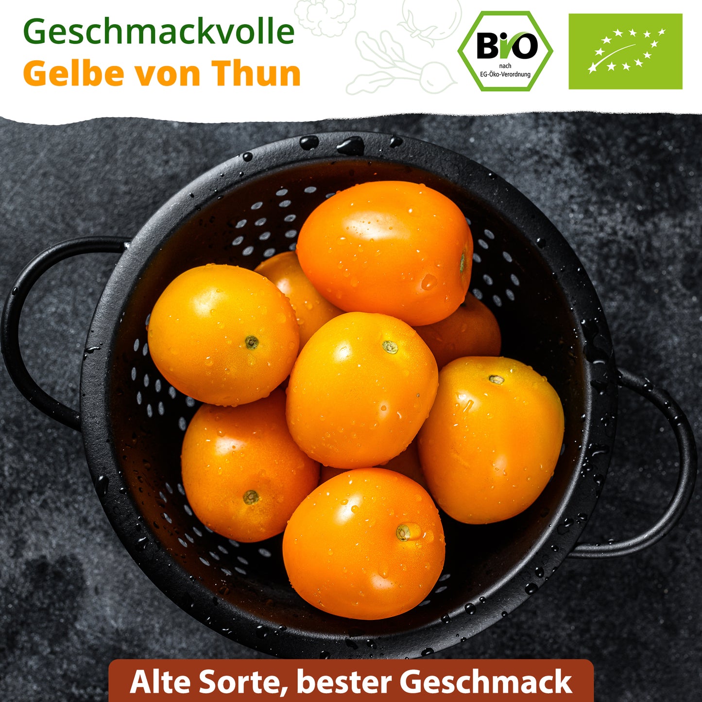 Bio-Tomate Gelbe von Thun (Solanum lycopersicum) | Alte Sorte | 15 Pflanzen