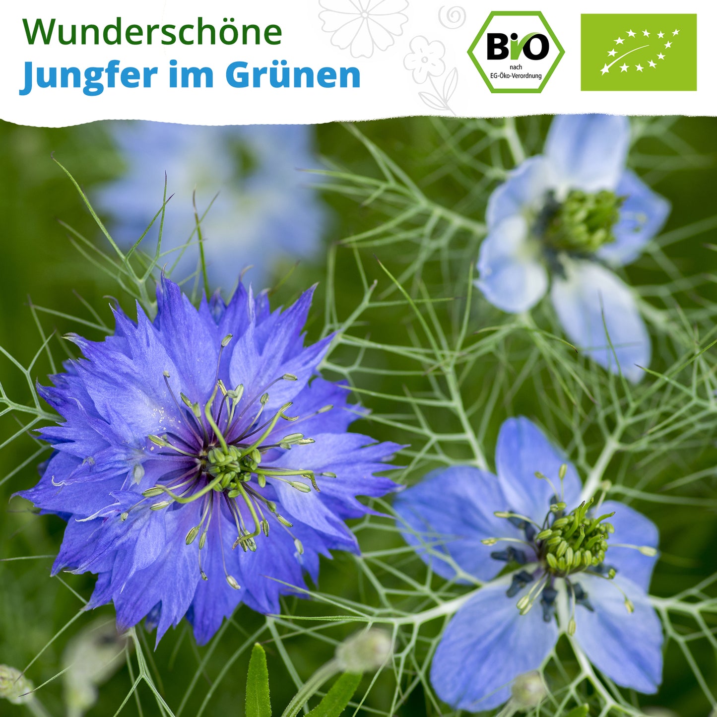 Bio-Jungfer im Grünen